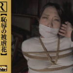 【VR】縄の淫花VR 恥辱の被虐花 小宮山亜依