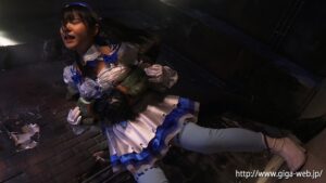 天空の使徒 魔法戦少女ピュアブリーズ NIMO